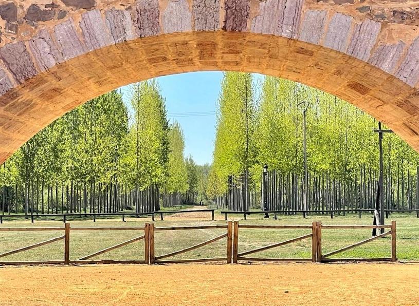B&B Puente De Orbigo Оспиталь-де-Орбиго Экстерьер фото